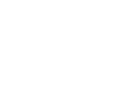 pzu